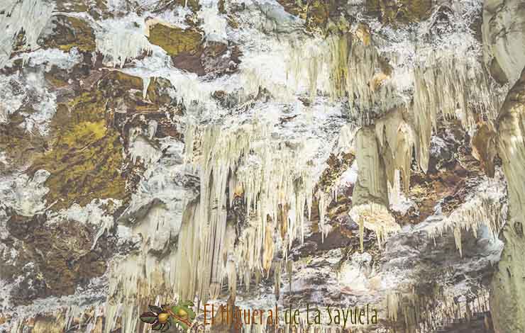 cuevas-del-aguila