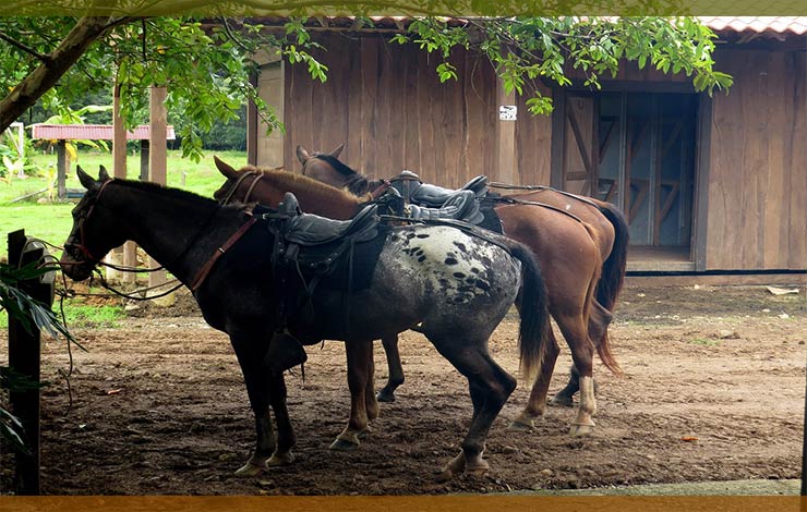 donde-montar-a-caballo-avila