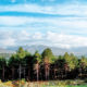 La fauna de la Sierra de Gredos
